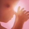 Pregnancy+